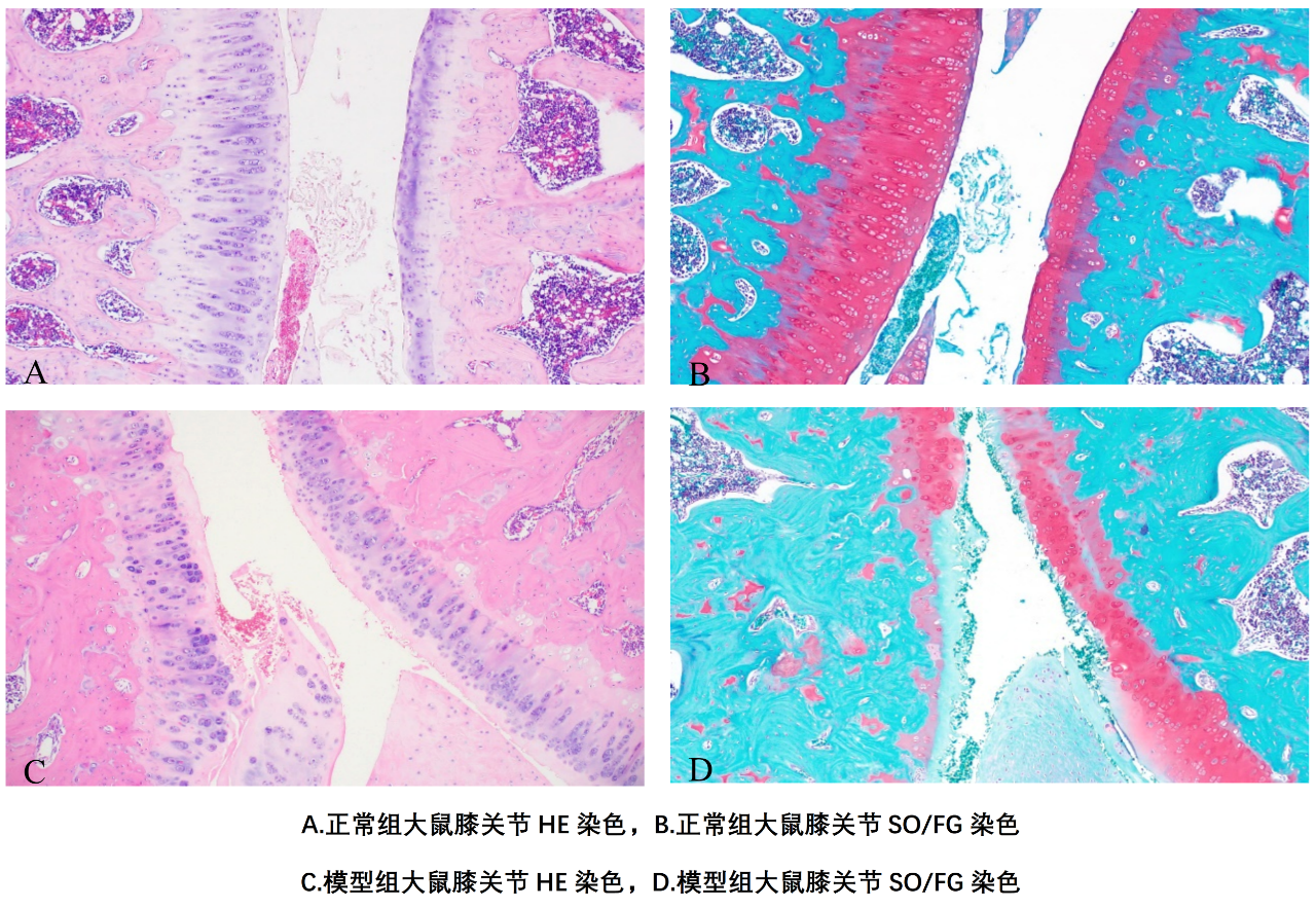 3微信圖片_2025-12-29_095131_259.png