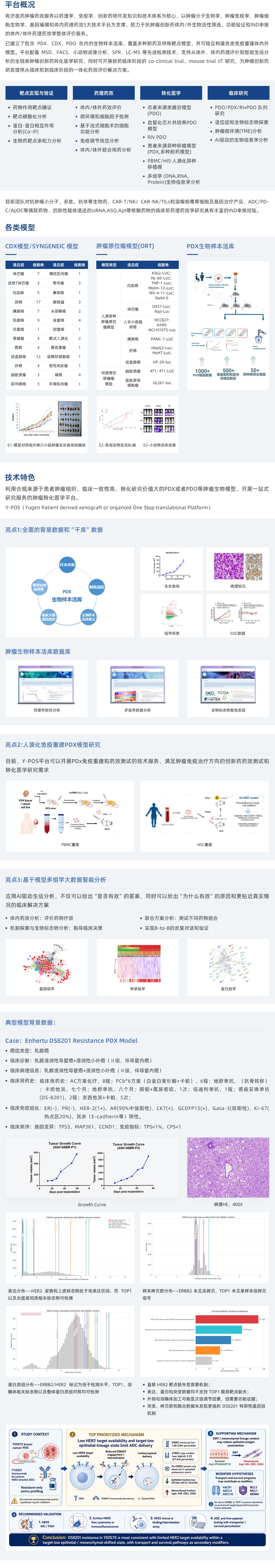 技術(shù)服務(wù)（藥效學(xué)研究服務(wù)）腫瘤藥效學(xué)研究服務(wù).jpg