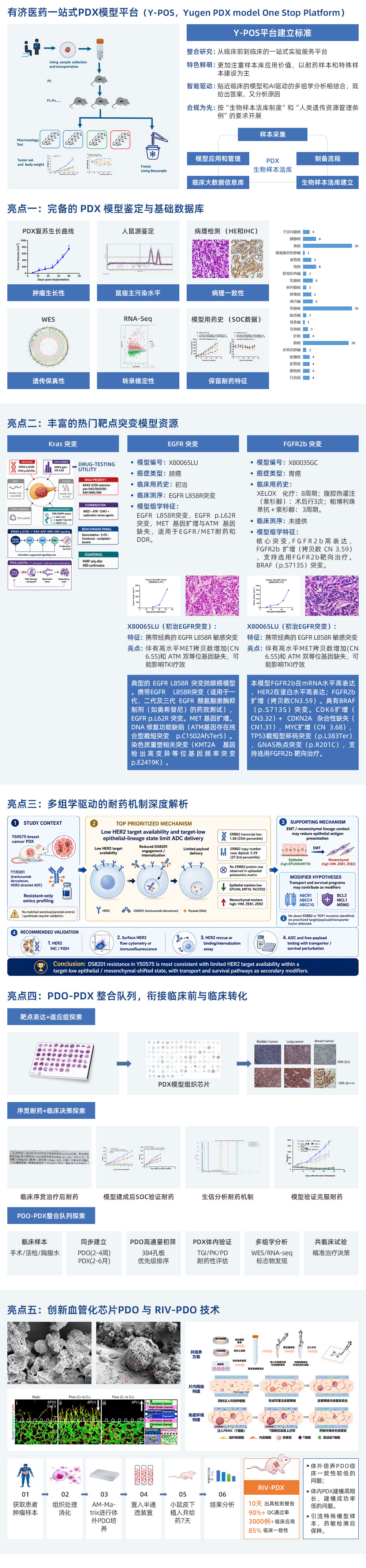 轉(zhuǎn)化醫(yī)學(xué)PDXPDO平臺(1).jpg